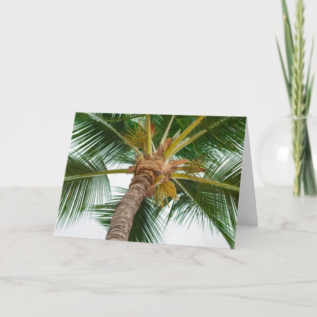 Tarjeta Palm Tree from Down Below (Anverso)