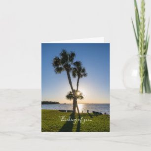 Tarjeta Palm Tree Scissors Silhouette Pensando En Tu Tarje