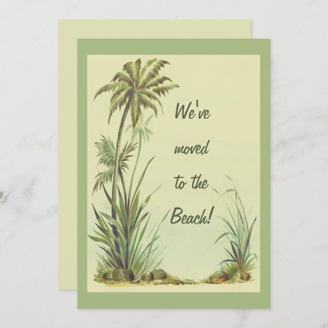 Tarjeta Palm Trees de época que hemos trasladado a la play (Anverso / Reverso)