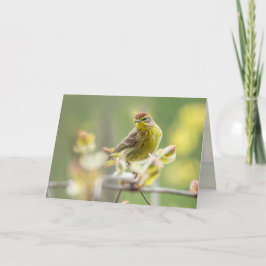 Tarjeta Palm Warbler
