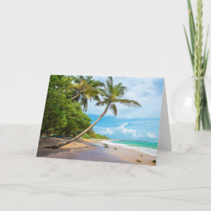 Tarjeta Palma de coco, playa el Sri Lanka de Mirissa