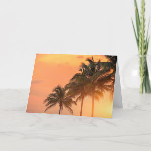 Tarjeta Palmas de Miami