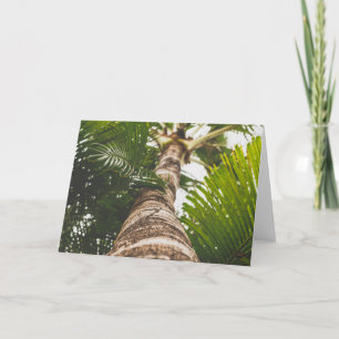 Tarjeta Palmera mexicana de debajo