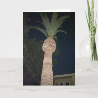 Tarjeta Palmeras 🌴