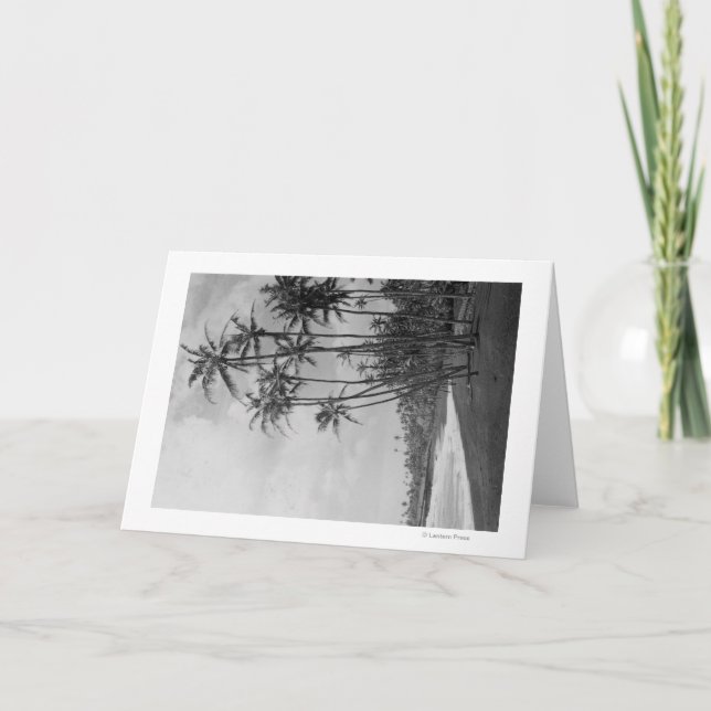 Tarjeta Palmeras de coco - Islas Hawái Fotografía (Anverso)