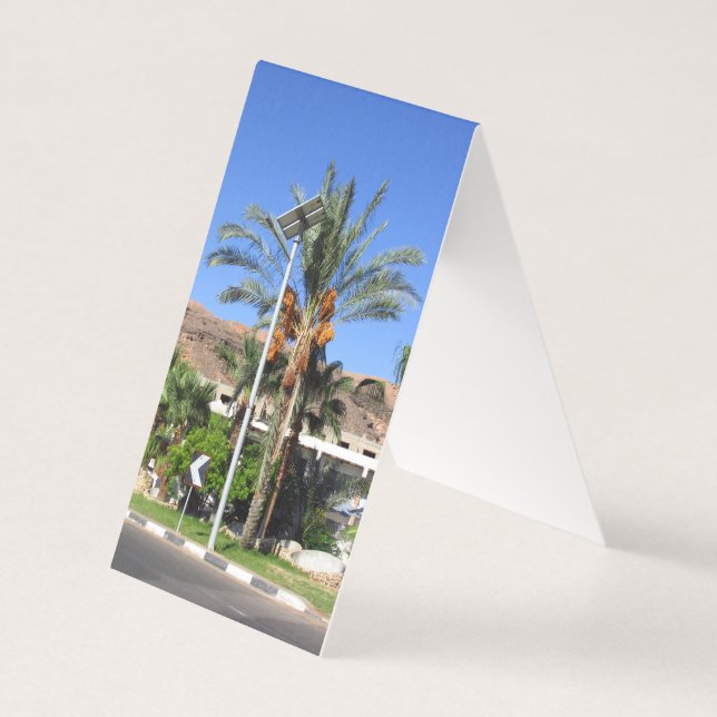 Tarjeta Palmeras de Egipto (Anverso)