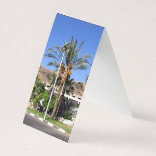 Tarjeta Palmeras de Egipto