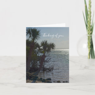Tarjeta Palmeras Del Río Bananero Pensando En Ti