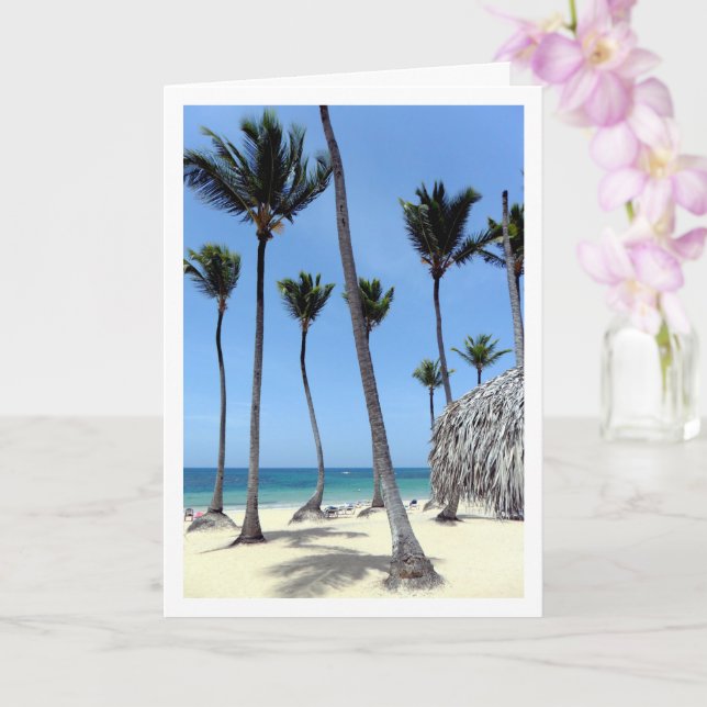 Tarjeta Palmeras, República Dominicana, paisaje (Orquídea)