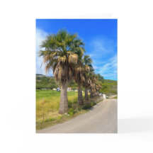 Palmeras Zakynthos Grecia