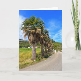 Tarjeta Palmeras Zakynthos Grecia
