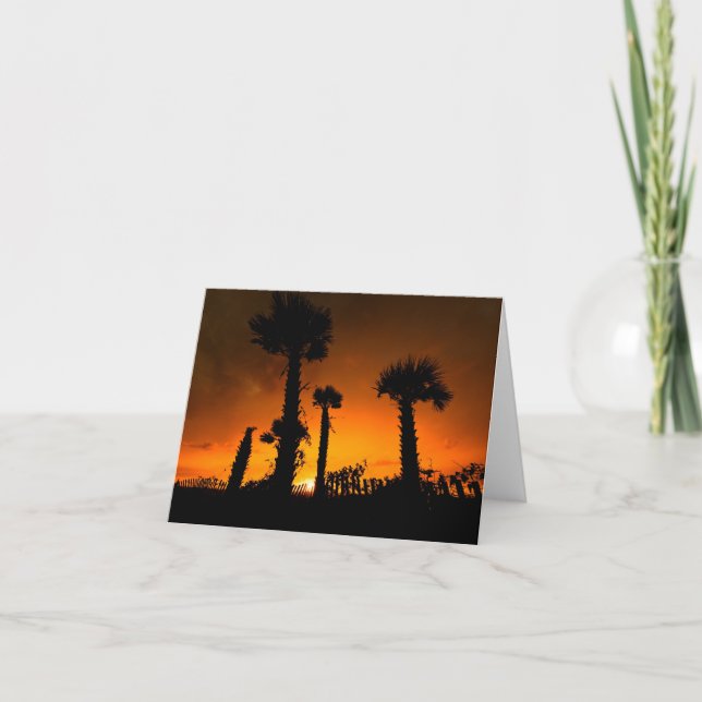 Tarjeta Palmettos nuevos (Anverso)