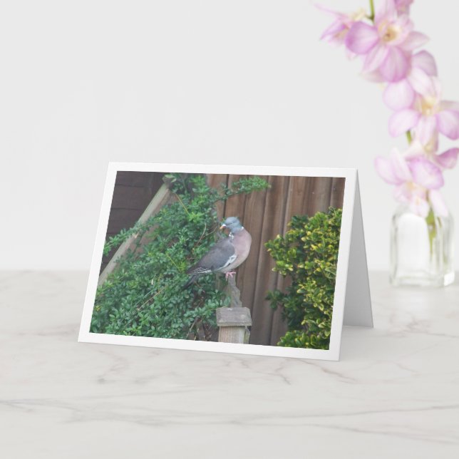 Tarjeta Paloma de madera común en la valla (Orquídea)