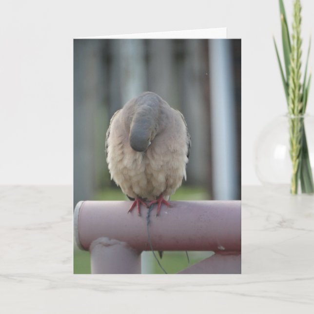 Tarjeta Paloma de rogación (Anverso)