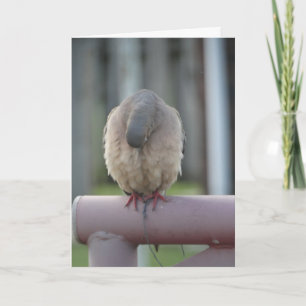 Tarjeta Paloma de rogación