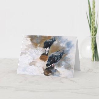 Tarjeta Palomas
