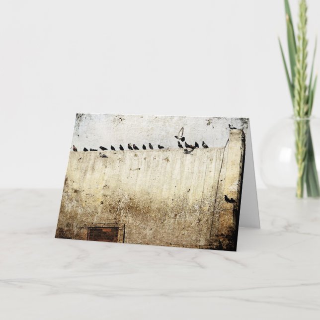 Tarjeta Palomas en un techo, cumpleaños (Anverso)