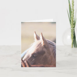 Tarjeta Palomino Gold - 4" x 5.6" Notecard 