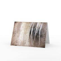 Palomino Horse Grunge Cumpleaños