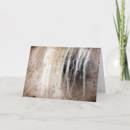 Tarjeta Palomino Horse Grunge Cumpleaños