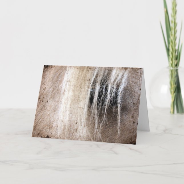 Tarjeta Palomino Horse Grunge Cumpleaños (Anverso)