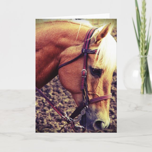 Tarjeta Palomino Occidental (Anverso)