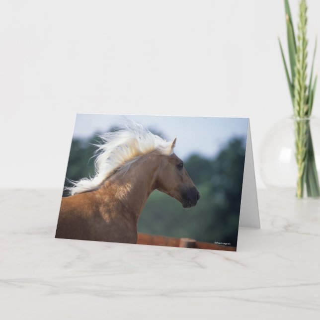 Tarjeta Palomino Rocky Mountain Horse (Anverso)