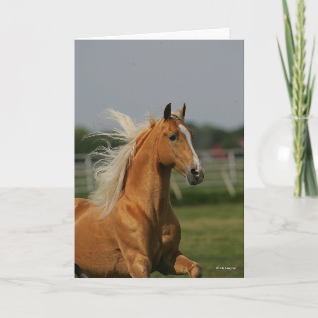 Tarjeta Palomino Tennesee Walking Horse Stallion (Anverso)
