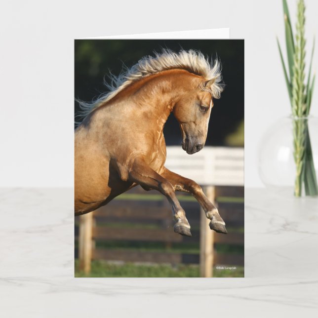 Tarjeta Palomino Tennessee Walker Stallion Rearing (Anverso)