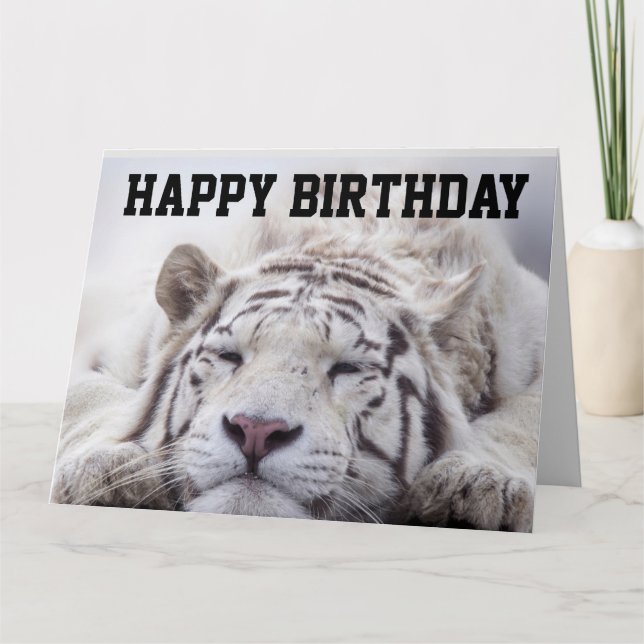 TARJETA PAN DE GATO DE TIGRE BLANCO, PASTA DE COMIDA, TARJ (Anverso)