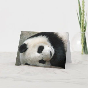 Tarjeta Panda