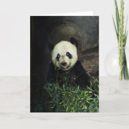 Tarjeta Panda