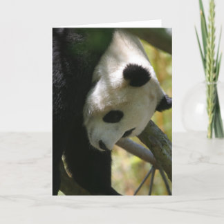 Tarjeta Panda #1