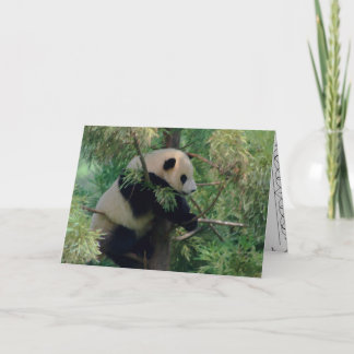 Tarjeta Panda Bear Hugs