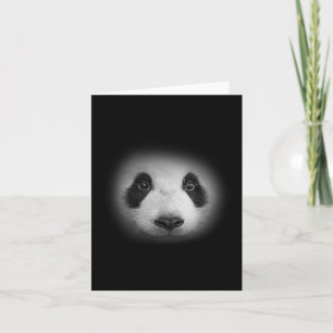 Tarjeta Panda Cara De Oso Para Los Amantes De Los Animales