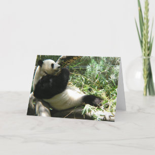 Tarjeta Panda en el zoológico de San Diego