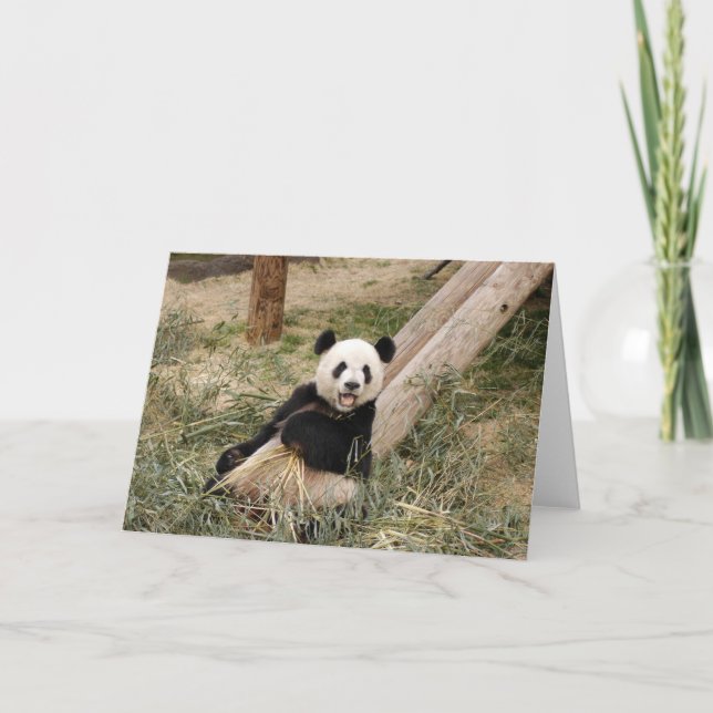 Tarjeta Panda M001 (Anverso)