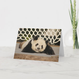 Tarjeta Panda M010