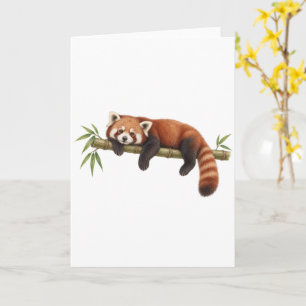 Tarjeta Panda Rojo Descansando sobre Bambú