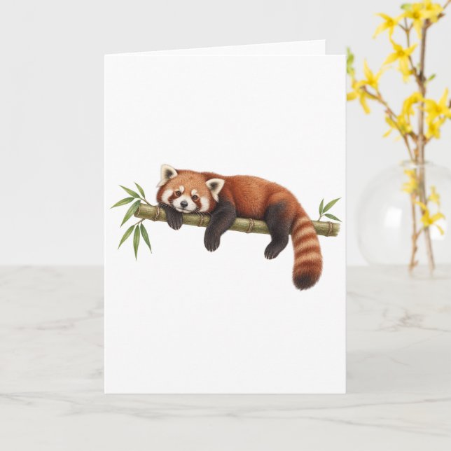 Tarjeta Panda Rojo Descansando sobre Bambú (flor amarilla)