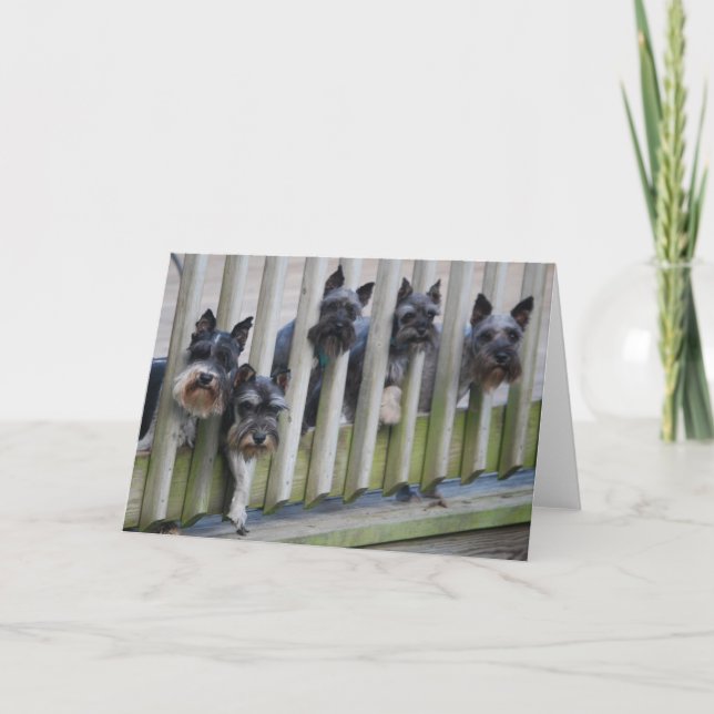 Tarjeta pandilla de perros (Anverso)