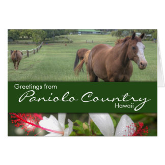 Tarjeta Paniolo Country