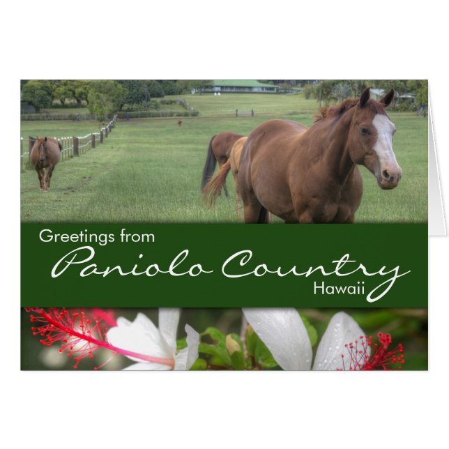 Tarjeta Paniolo Country (Anverso (Horizontal))