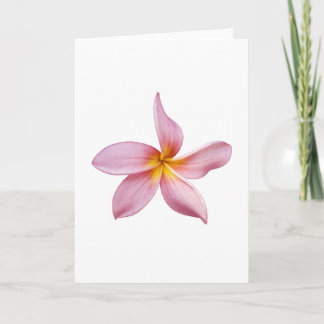 Tarjeta panni rosado del frangi
