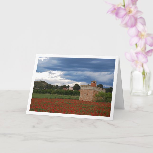 Tarjeta panorámica de campo de amapola (Orquídea)