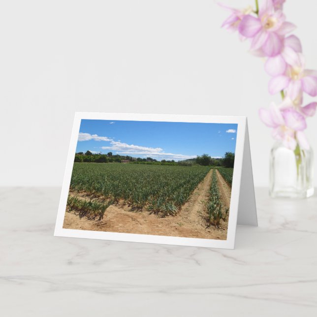 Tarjeta panorámica Onion Field (Orquídea)