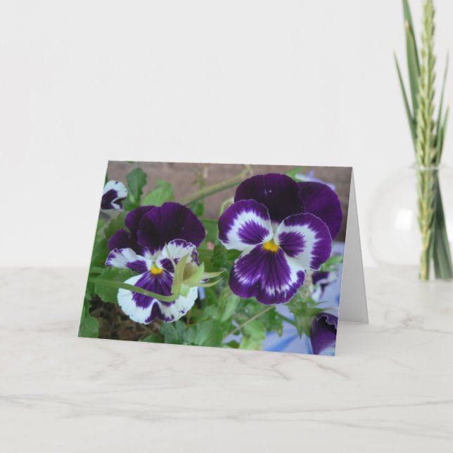 Tarjeta pansey notecard (Anverso)