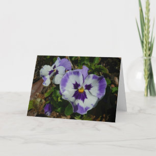 Tarjeta Pansias moradas y blancas con flores coloridas