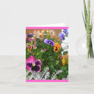 Tarjeta Pansies y pargos