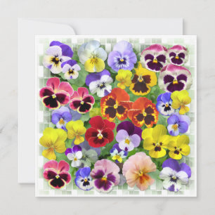Tarjeta Pansy Collage